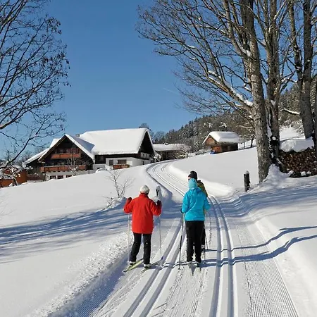 Апартаменты Feichtlhof *