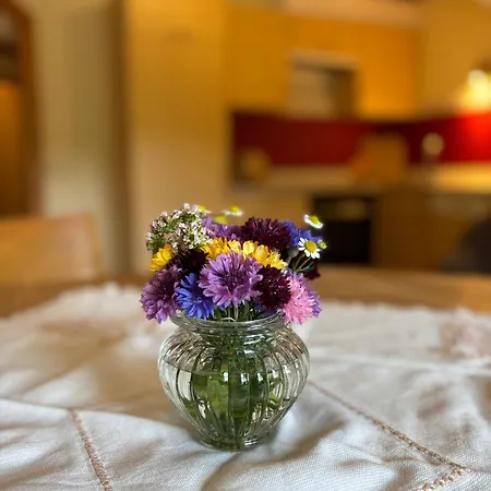 Feichtlhof Апартаменты