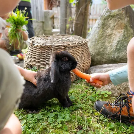 Feichtlhof Апартаменты *