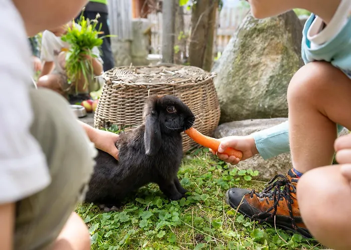 Feichtlhof Apartament *